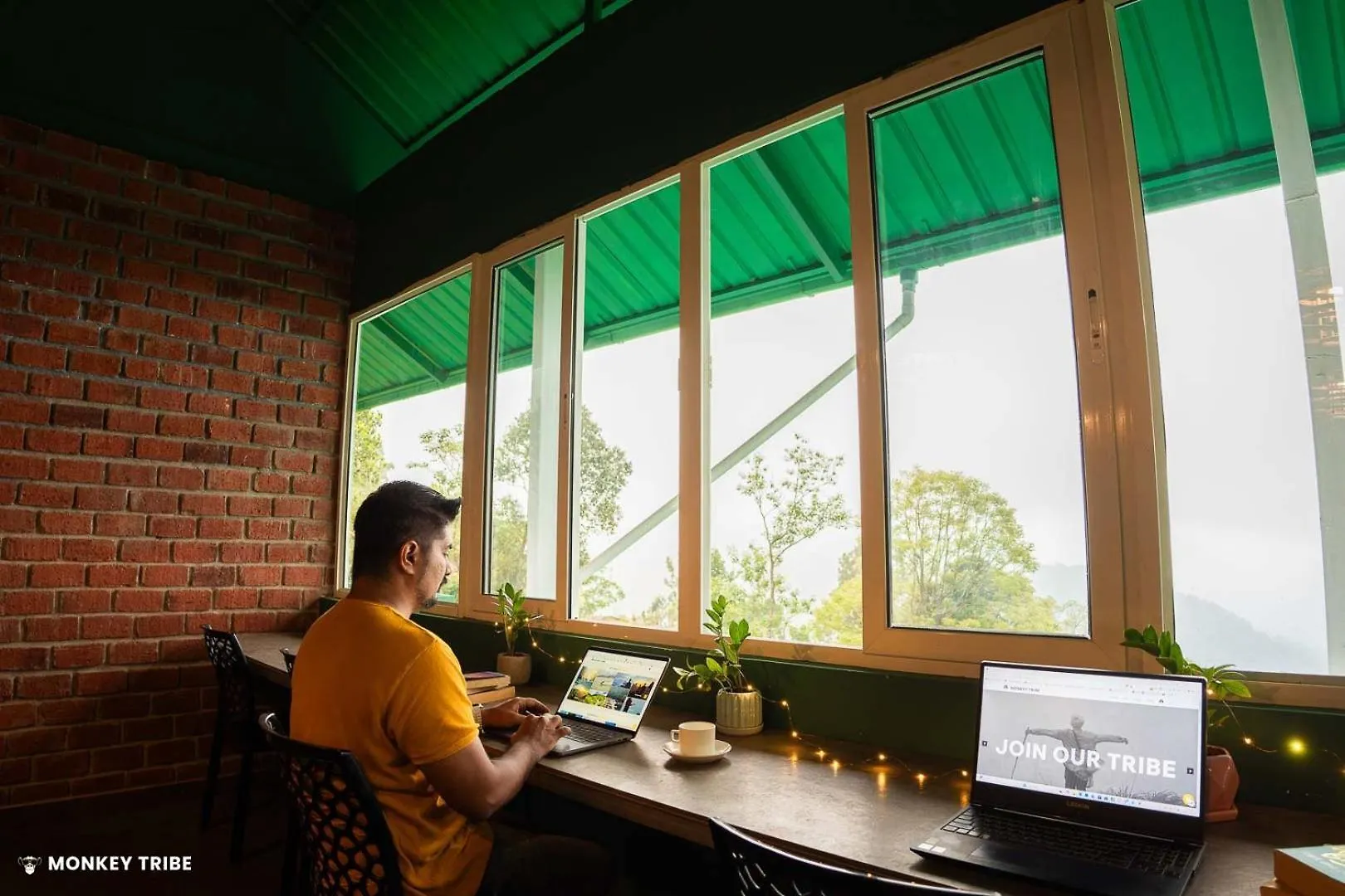 Hostel Monkey Tribe Munnar